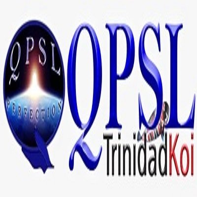 glass companies in trinidad